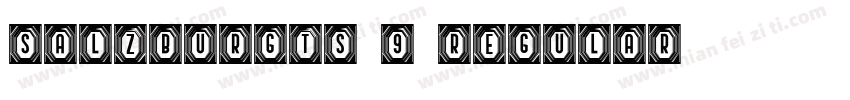 SalzburgTS 9 Regular字体转换